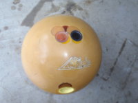 PB290020.JPG