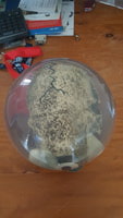 20161016_140723.jpg