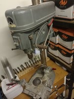 IMG_20170728_165737.jpg