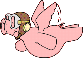 flyingpig.gif