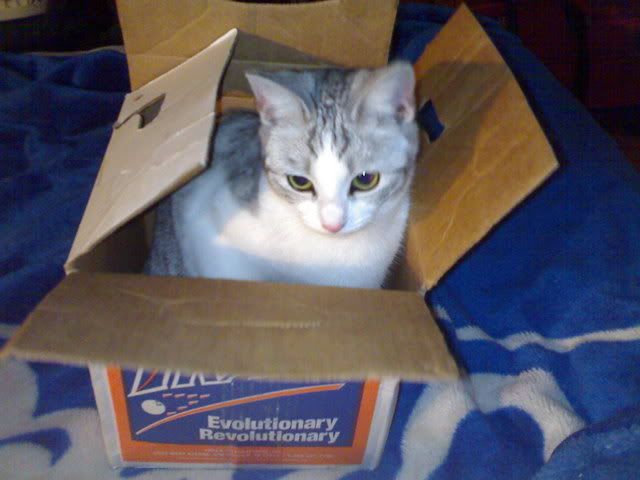 20072006072.jpg